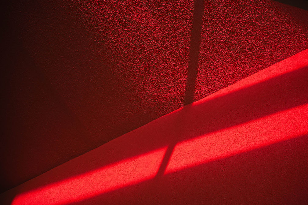 Image by Sophie Louisnard
