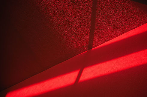 Image by Sophie Louisnard