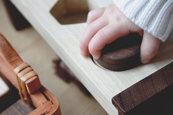 Shape Sorting Puzzle