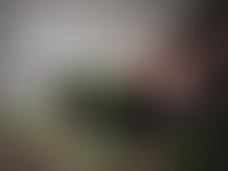 Beyond the Good Old Days: embracing the journey ahead