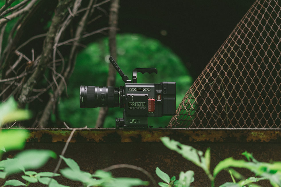 Image by Keagan Henman