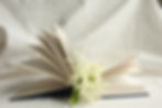 Open Book with flowers inside