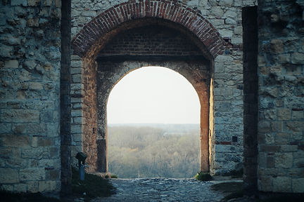 Image by Ivan Aleksic