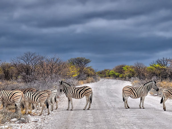 autotour namibie botswana