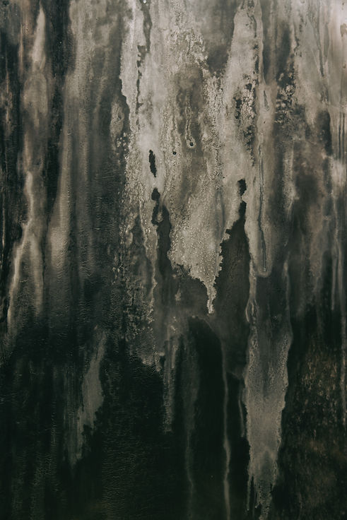 Image by Tim Mossholder