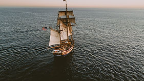 Image by Austin Neill