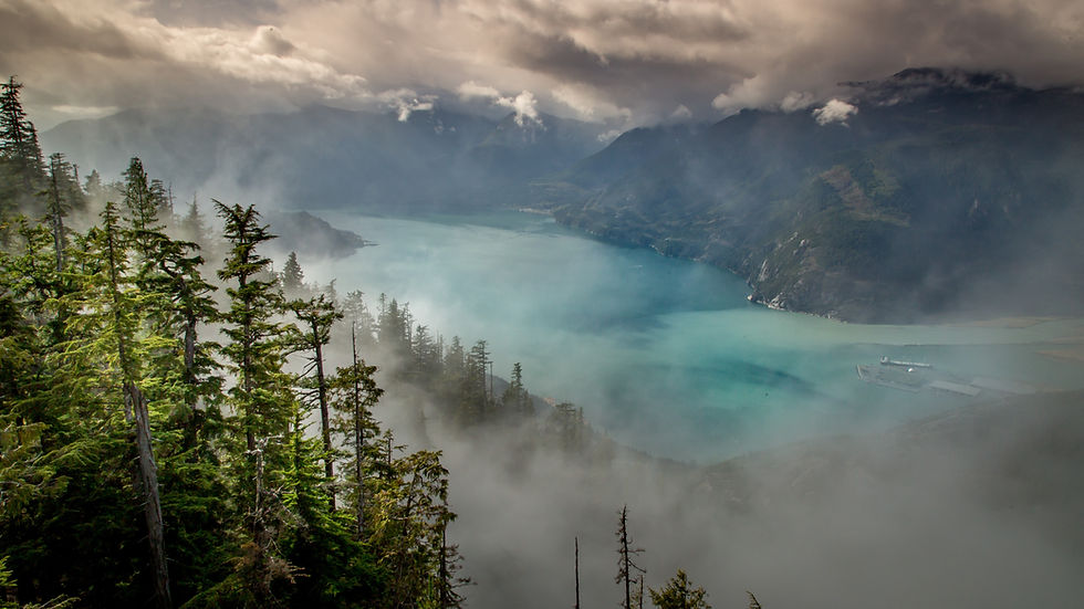 Squamish Window Cleaning