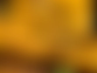 Street Corn off the Cob