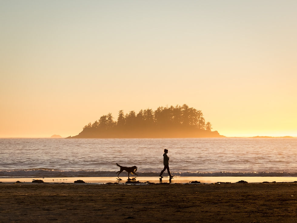 woman and dog walk on the beach