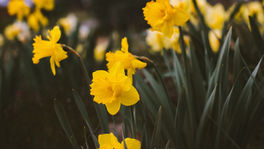 Pastor’s Message – April 2021