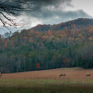 Image by Jordan Whitt