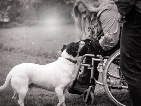 lady feeding dog sitting in a wheelchair