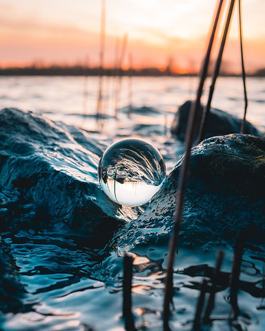 Image by Tim Huyghe