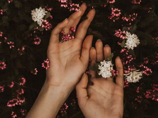 Image by Milan Popovic