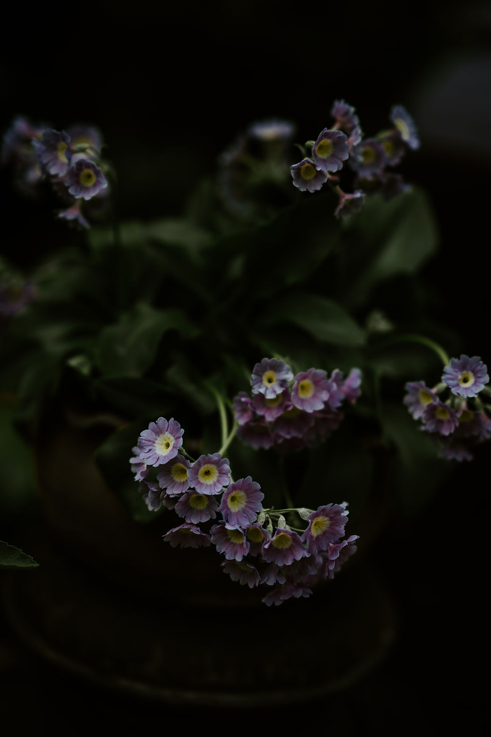 Image by Annie Spratt