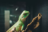 Image by Max Titov