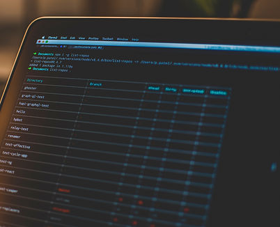 Image by Pankaj Patel