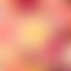 Tout savoir sur le fruit et son impact sur le corps humain !