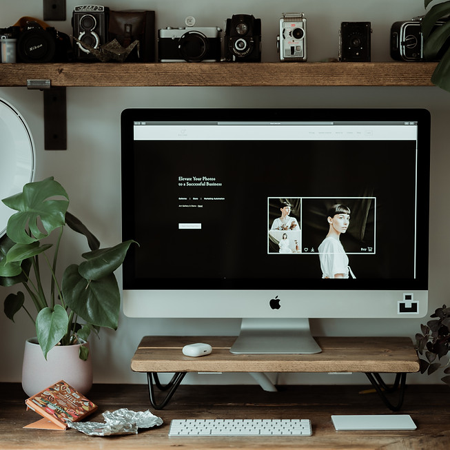 Website development