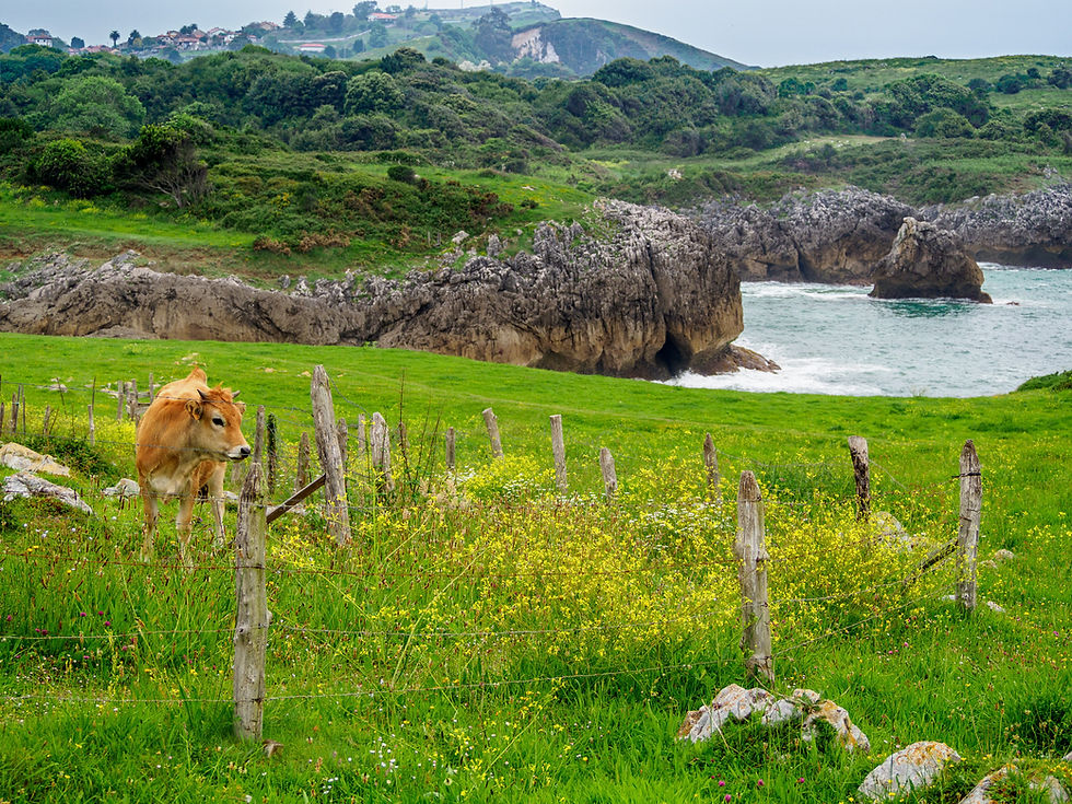 Playa de Gulpiyuri, Asturias