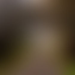 Toxische Beziehungen im Business – wenn unsichtbare Gewalt den Berufsalltag bestimmt