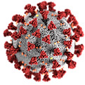 Image by CDC