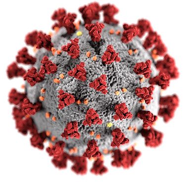 Image by CDC