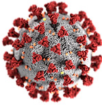 Image by CDC