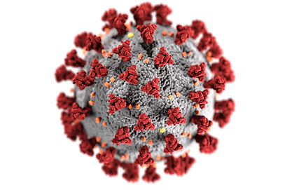 Image by CDC
