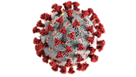 Image by CDC