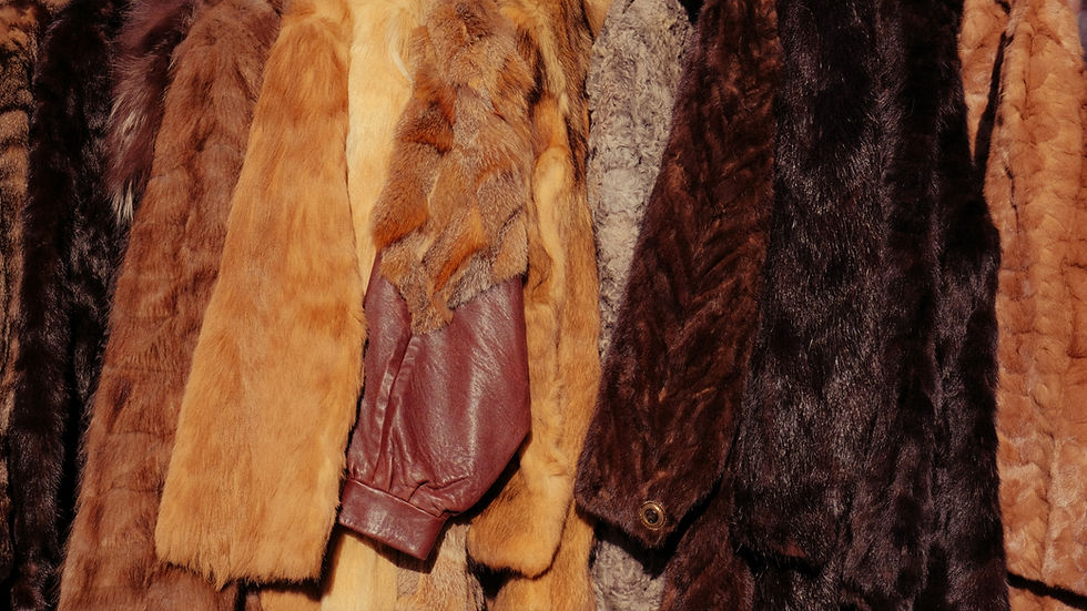 Etsy Announces Full Fur Product Ban Effective August 2026