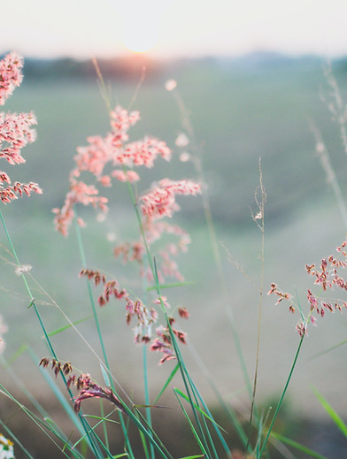 Image by Kien Do