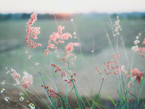 When Weekly Sessions Aren’t Enough: Why Trauma and Anxiety in Perimenopause May Need Intensive Therapy