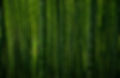 BAMBOO FABRIC CLOTHING MANUFACTURERS UK