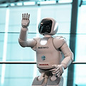 Robots
