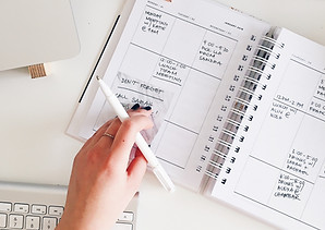 Image by Marissa Grootes