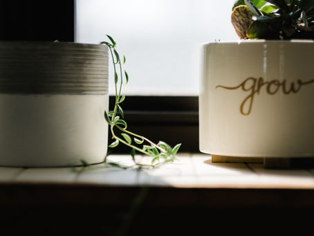 Nurtured and Grown By God