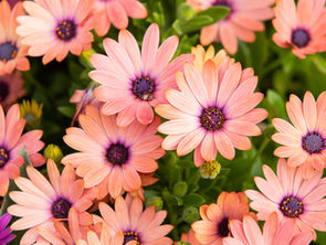 Spring Cleaning? No, We’re Doing a Spring Upgrade!