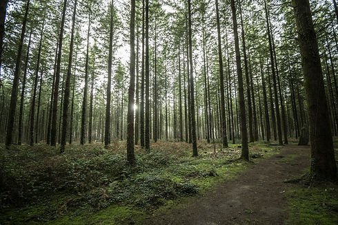 Image by Romain Le Teuff