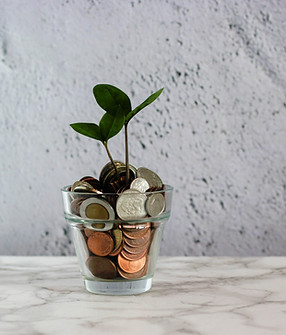 Image by micheile henderson