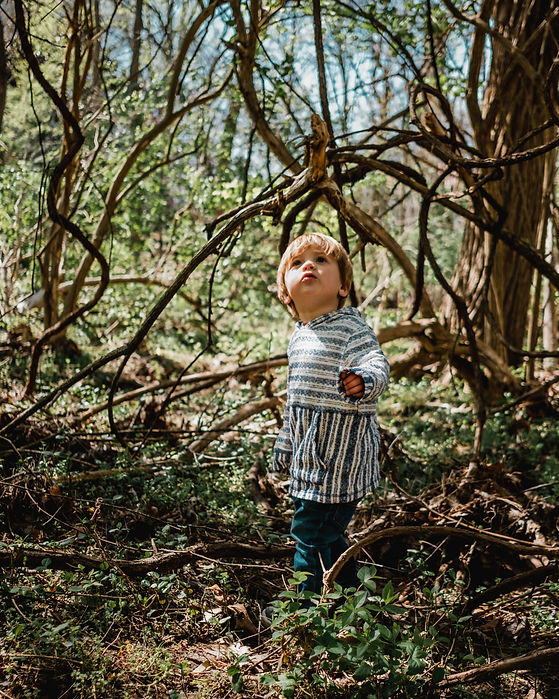 Image by Kyle Nieber