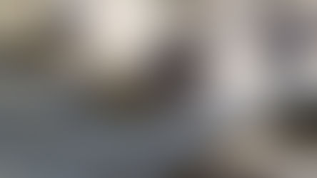 The Importance of Embracing Failures 