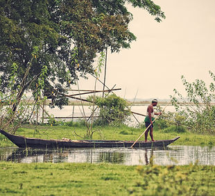 Image by Rohan Reddy