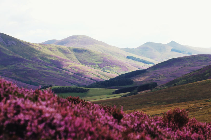Image by Journeys With Sean