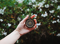 Image by Heidi Fin