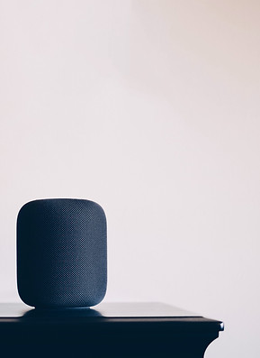 Image by Mark Tegethoff