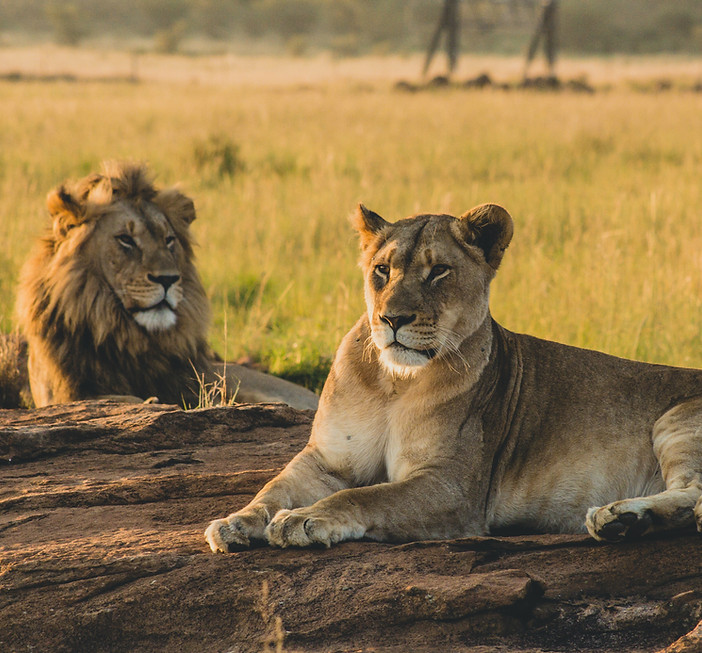 Mosambik Reise Lucky Tours