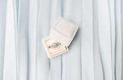 Image by Bridget Flohe