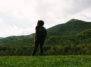 Image by Marcus Lewis