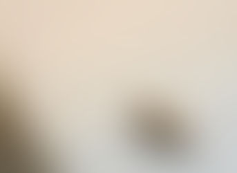 A Planta Poderosa: Como cultivar em casa para manter as moscas longe